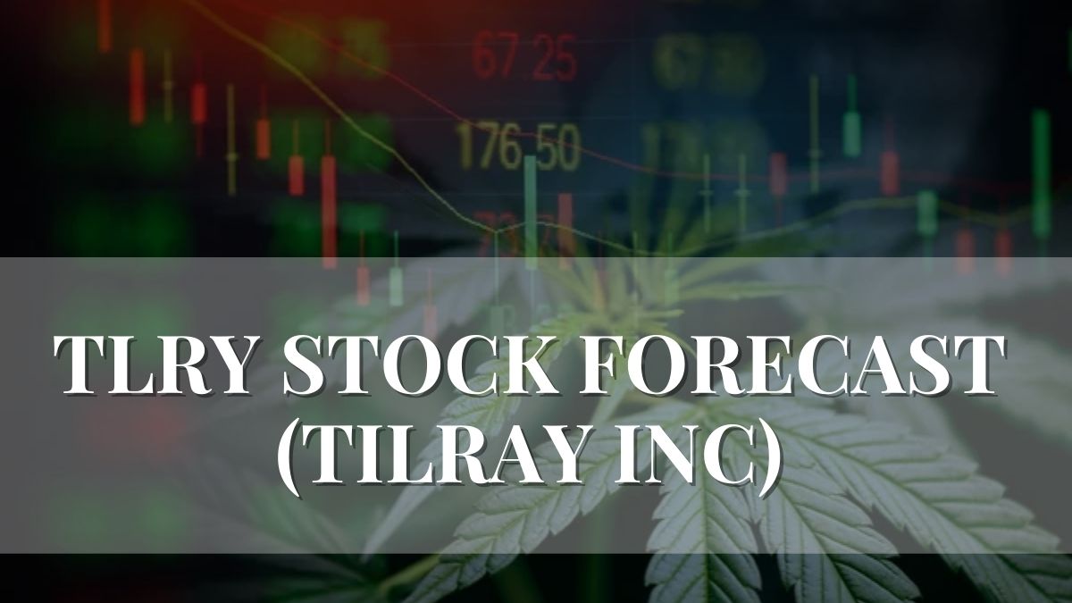 Tilray 2024 Insights into TLRY's Stock Performance & Future